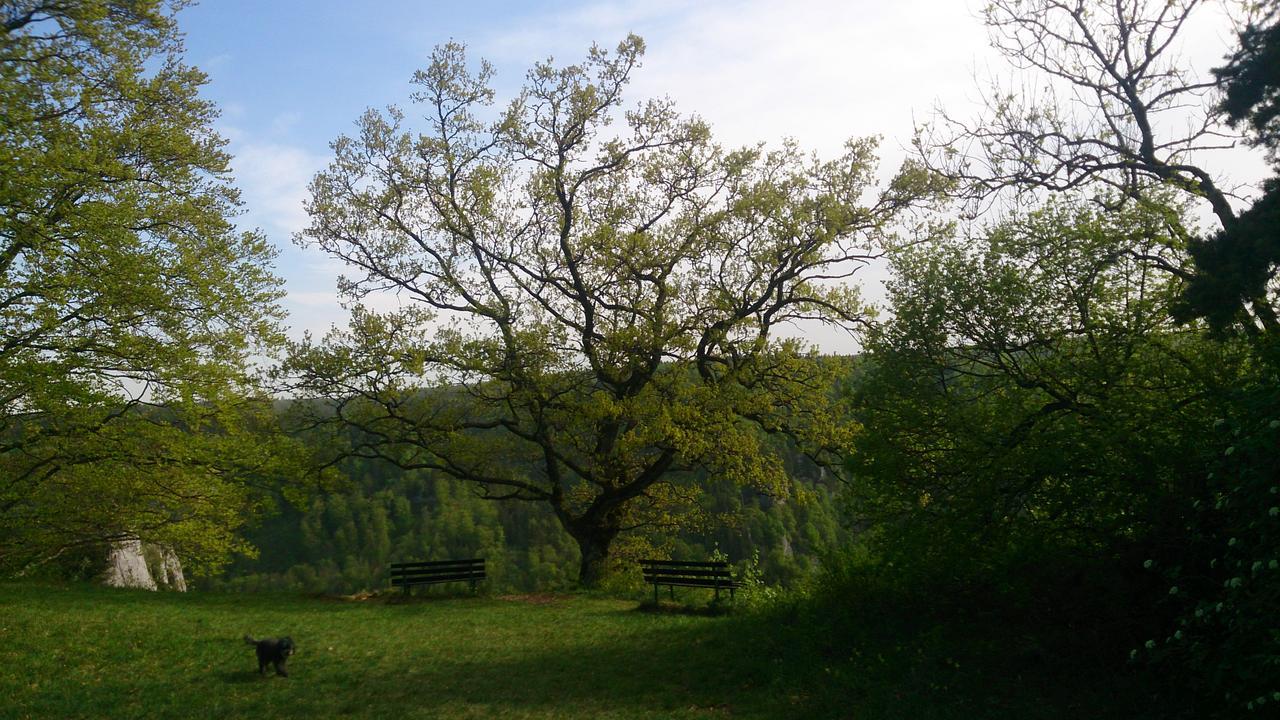 Berghaus Knopfmacher Фридинген-на-Дунае Экстерьер фото